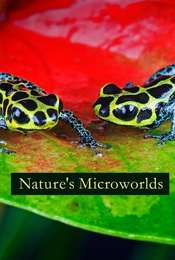 Nature's Microworlds
