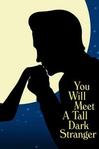You Will Meet a Tall Dark Stranger - Poster