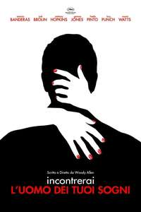 You Will Meet a Tall Dark Stranger - Poster
