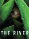 The River