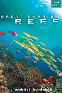 Great Barrier Reef - Posters