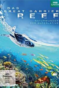 Great Barrier Reef - Posters