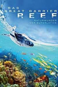 Great Barrier Reef - Posters