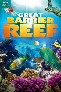 Great Barrier Reef - Posters