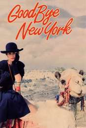 Goodbye  New York