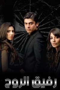 Humsafar - Poster