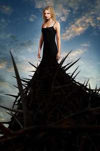 Revenge - Posters