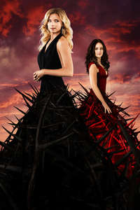 Revenge - Posters