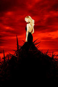 Revenge - Posters