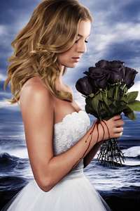 Revenge - Posters