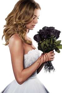 Revenge - Posters