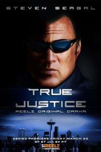 True Justice - Posters