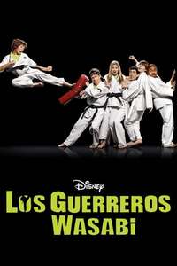 Kickin' It - Posters