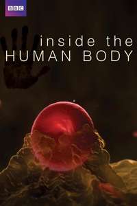 Inside the Human Body - Poster