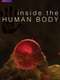Inside the Human Body