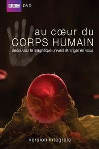 Inside the Human Body - Poster