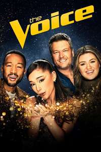 The Voice - Posters