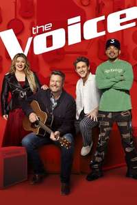 The Voice - Posters