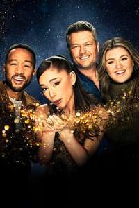 The Voice - Posters