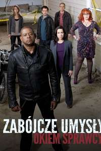 Criminal Minds: Suspect Behavior - Poster