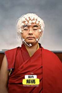 The Mind  Explained - Posters