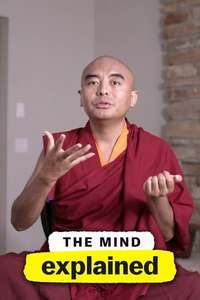 The Mind  Explained - Posters