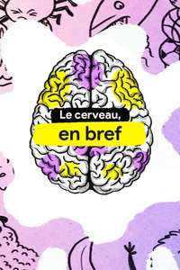 The Mind  Explained - Posters