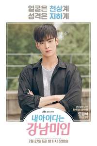 My ID is Gangnam Beauty - Posters
