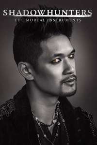 Shadowhunters - Posters