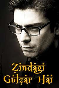 Zindagi Gulzar Hai - Poster