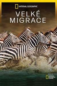 Great Migrations - Poster