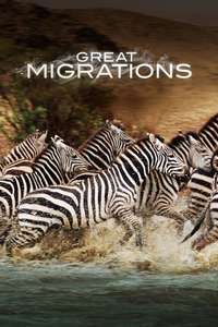 Great Migrations - Poster