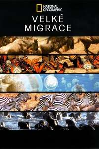 Great Migrations - Poster