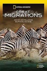 Great Migrations - Poster