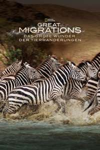 Great Migrations - Poster