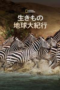 Great Migrations - Poster
