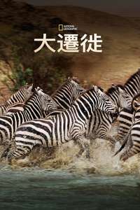 Great Migrations - Poster