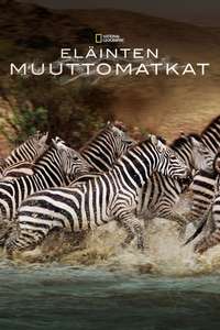 Great Migrations - Poster
