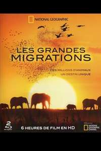 Great Migrations - Poster