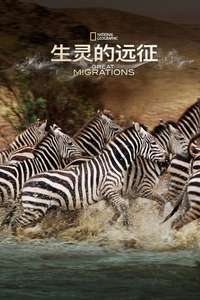 Great Migrations - Poster