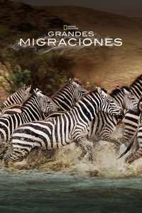 Great Migrations - Poster