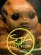 Sarah Jane's Alien Files