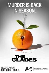 The Glades - Posters