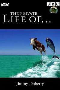 The Private Life of... - Poster