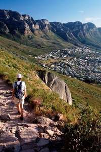 South Africa Walks - Poster