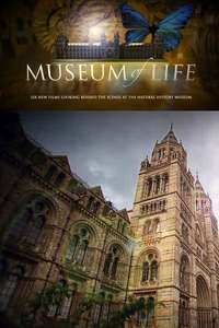 Museum of Life - Poster