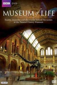 Museum of Life - Poster