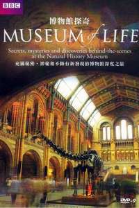 Museum of Life - Poster