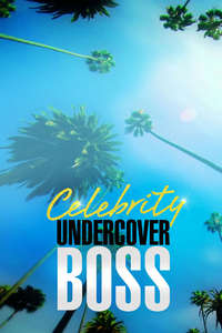 Celebrity Undercover Boss - Poster