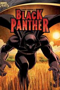 Black Panther - Posters